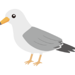 ウミネコのイラスト