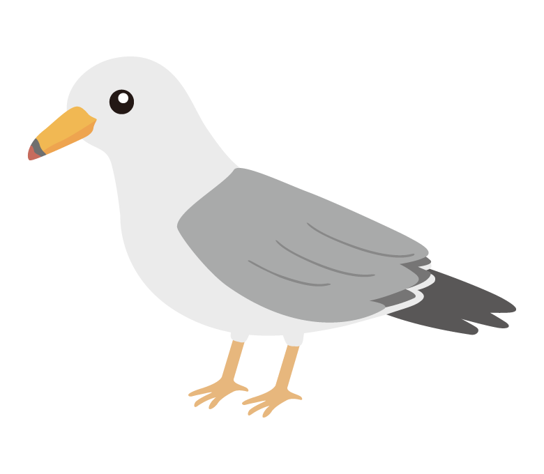 ウミネコのイラスト