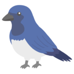 オオルリのイラスト