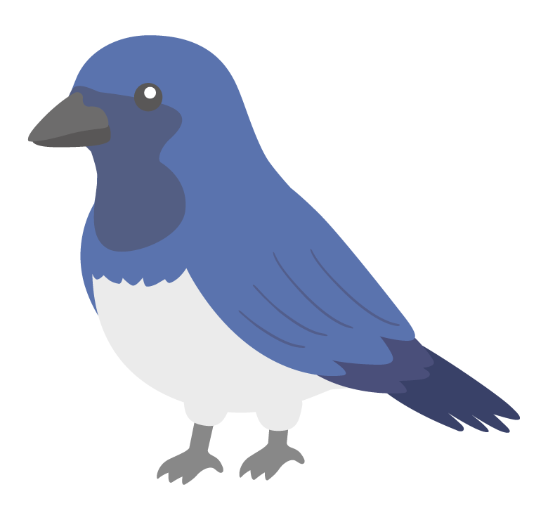 オオルリのイラスト