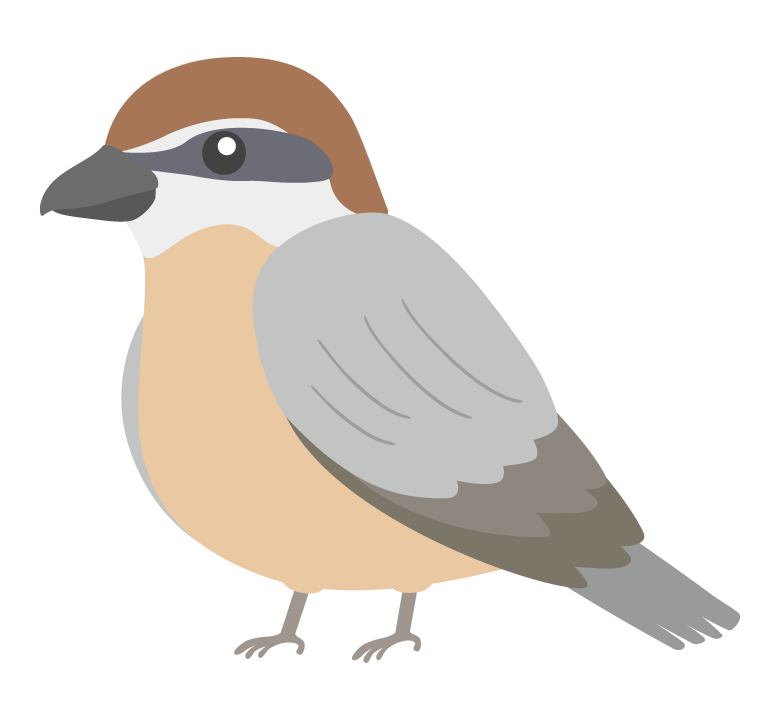 モズのイラスト