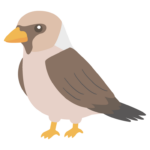 シメのイラスト