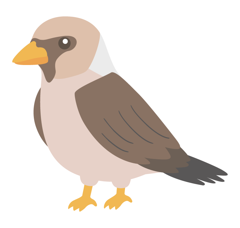 シメのイラスト
