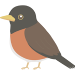 アカコッコのイラスト