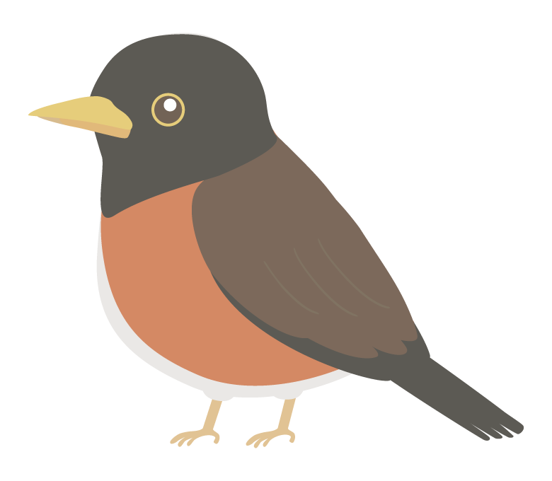 アカコッコのイラスト