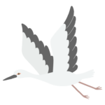 飛翔するコウノトリのイラスト