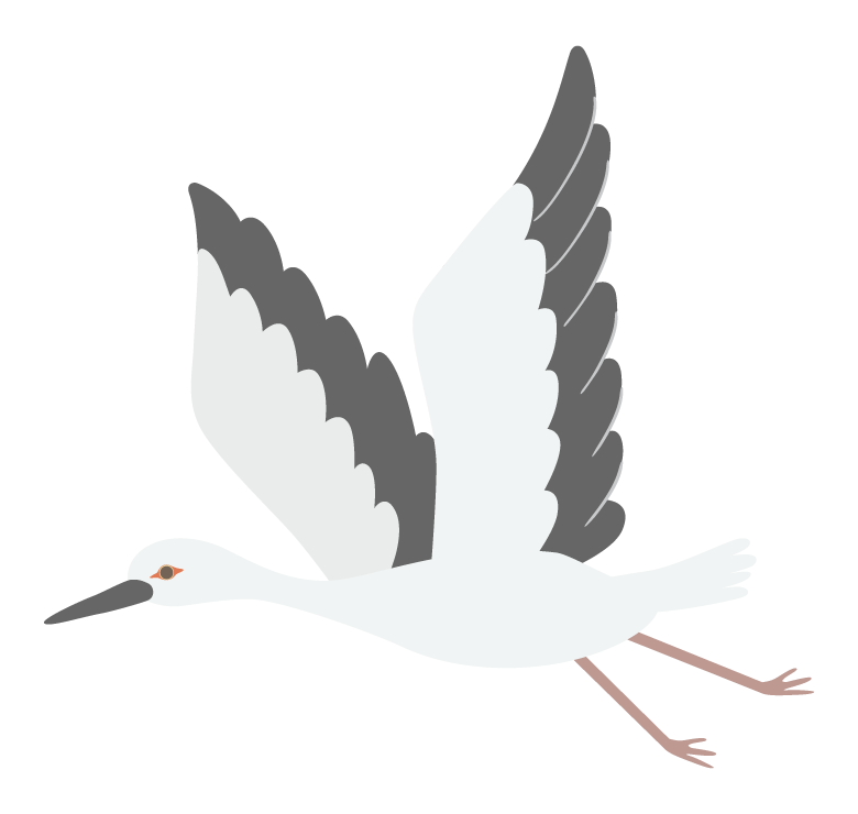 飛翔するコウノトリのイラスト
