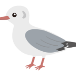ユリカモメのイラスト