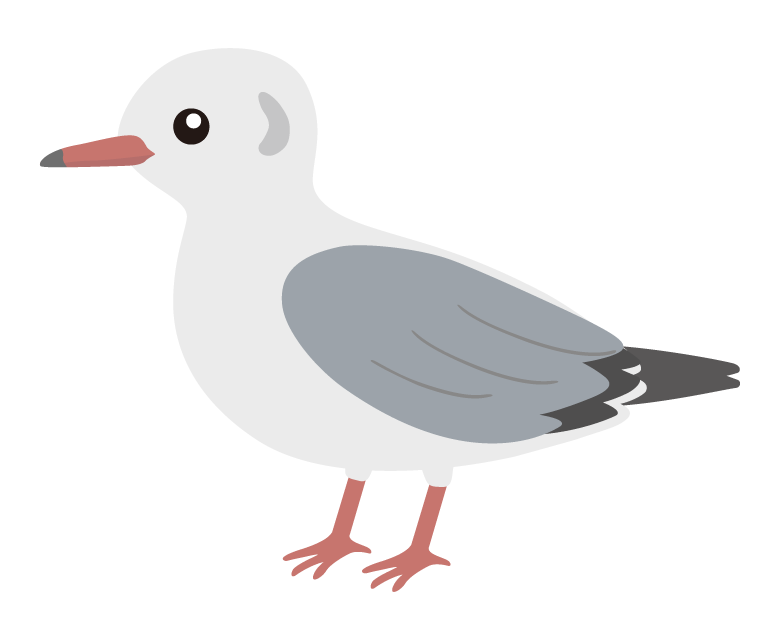 ユリカモメのイラスト