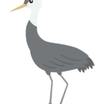 ナベヅルのイラスト