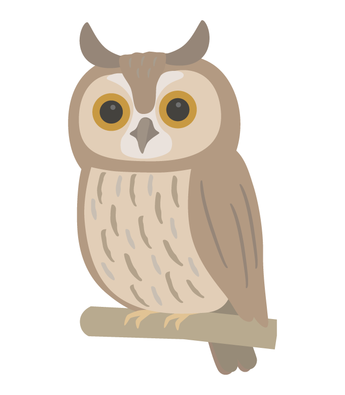トラフズクのイラスト