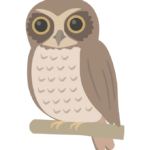 ニュージーランドアオバズクのイラスト