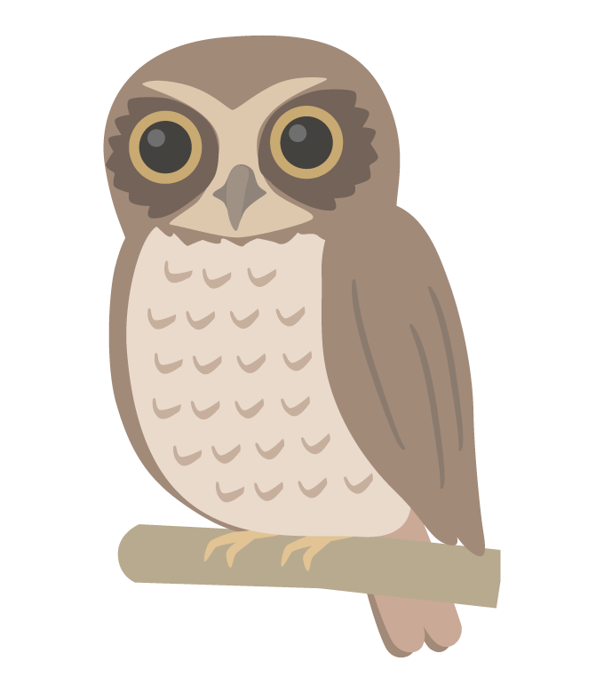 ニュージーランドアオバズクのイラスト