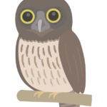 アオバズクのイラスト