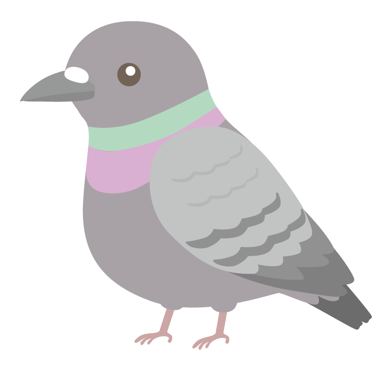 ドバト（鳩）のイラスト