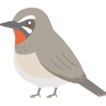 ノゴマのイラスト