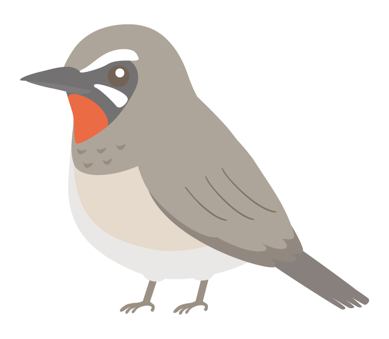 ノゴマのイラスト