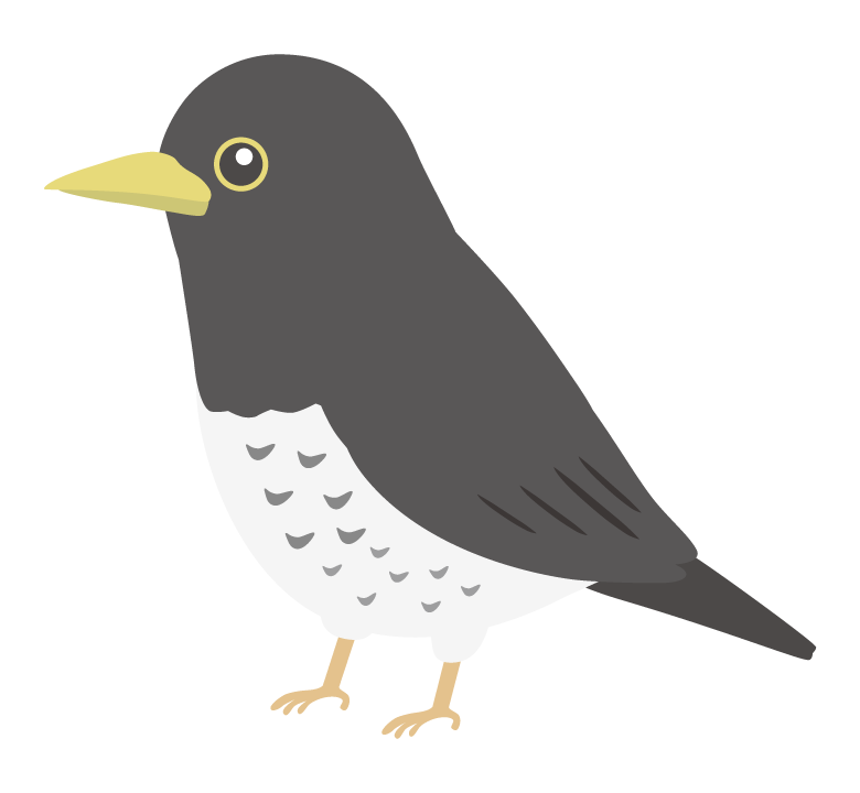 クロツグミのイラスト