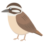 ホオジロのイラスト