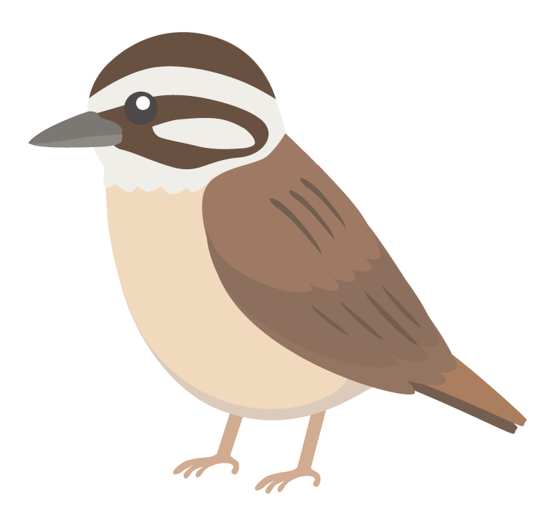 ホオジロのイラスト