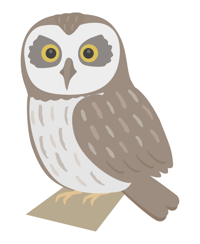 コミミズクのイラスト