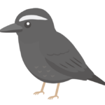 マミジロのイラスト